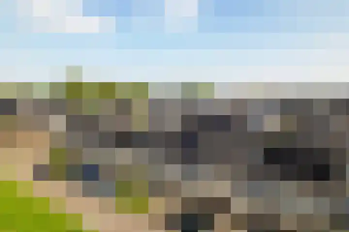 Drontermeer 18 Zoetermeer thumbnail 42