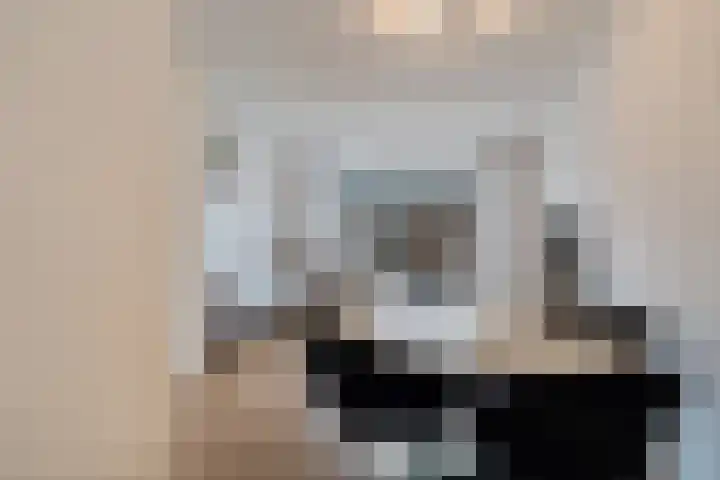 Drontermeer 18 Zoetermeer thumbnail 9