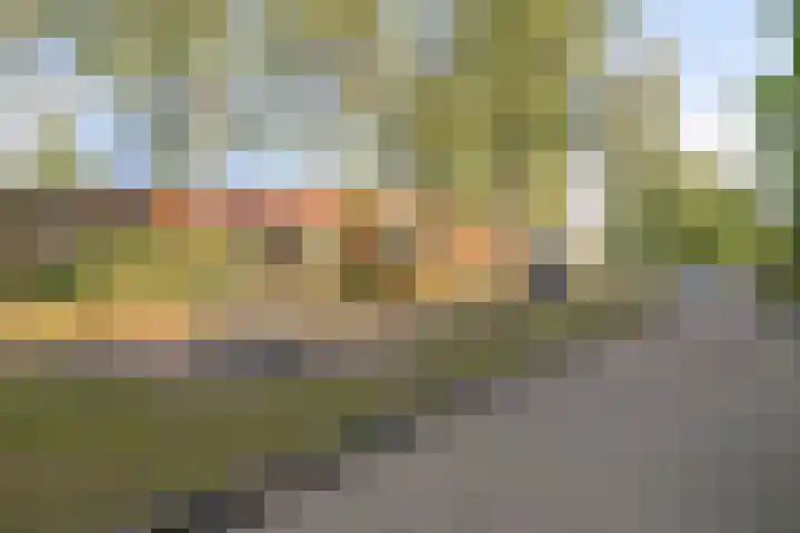 Drontermeer 6 Barendrecht thumbnail 32