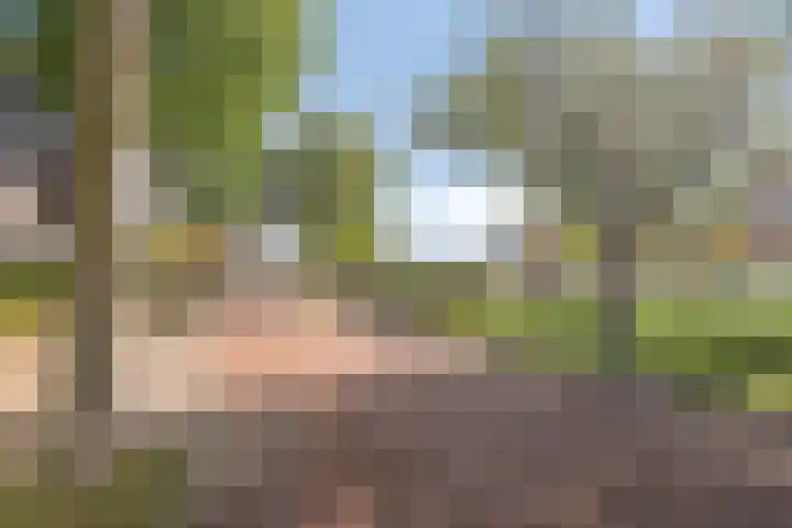 Drontermeer 6 Barendrecht thumbnail 33