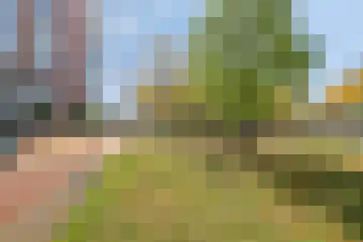 Drontermeer 6 Barendrecht thumbnail 36