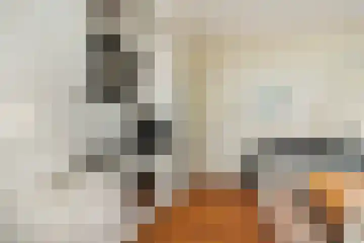 Drontermeer 6 Barendrecht thumbnail 4
