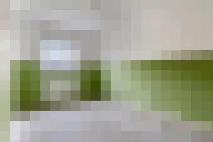 Drontermeer 7 Barendrecht thumbnail 21