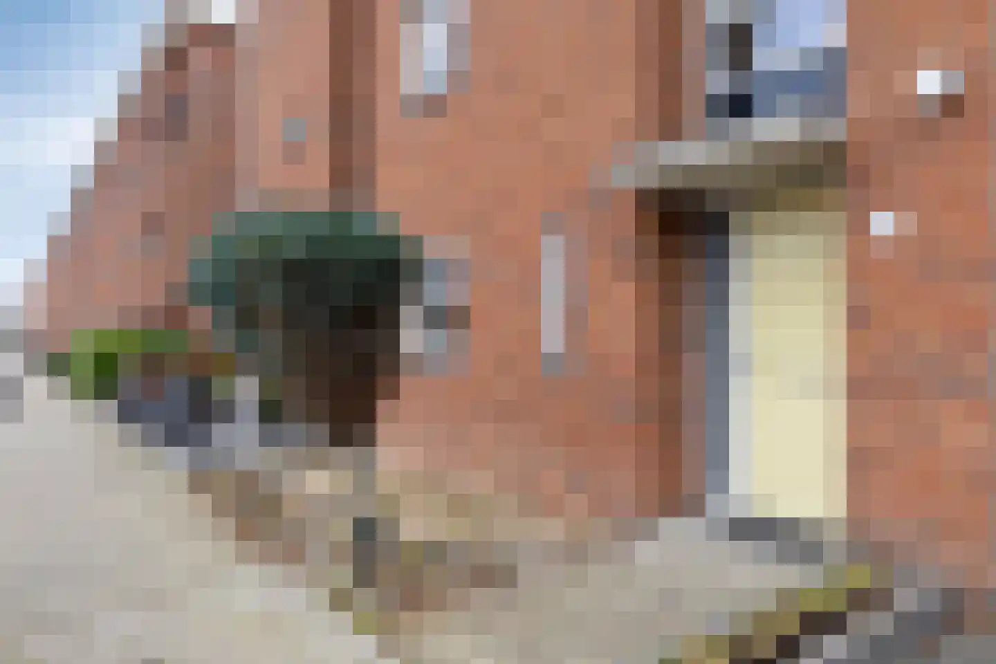 Drontermeer 7 Barendrecht thumbnail 4