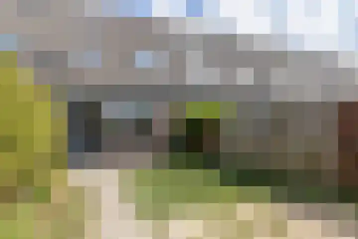 Drontermeer 9 Purmerend thumbnail 7