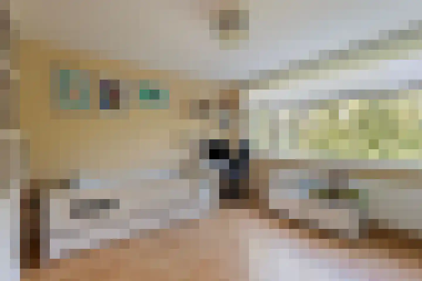 Drontermeerlaan 7 Leiden thumbnail 18