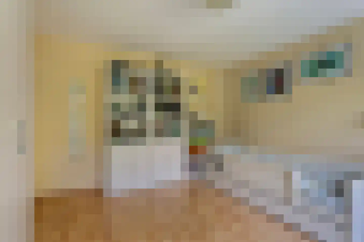 Drontermeerlaan 7 Leiden thumbnail 19