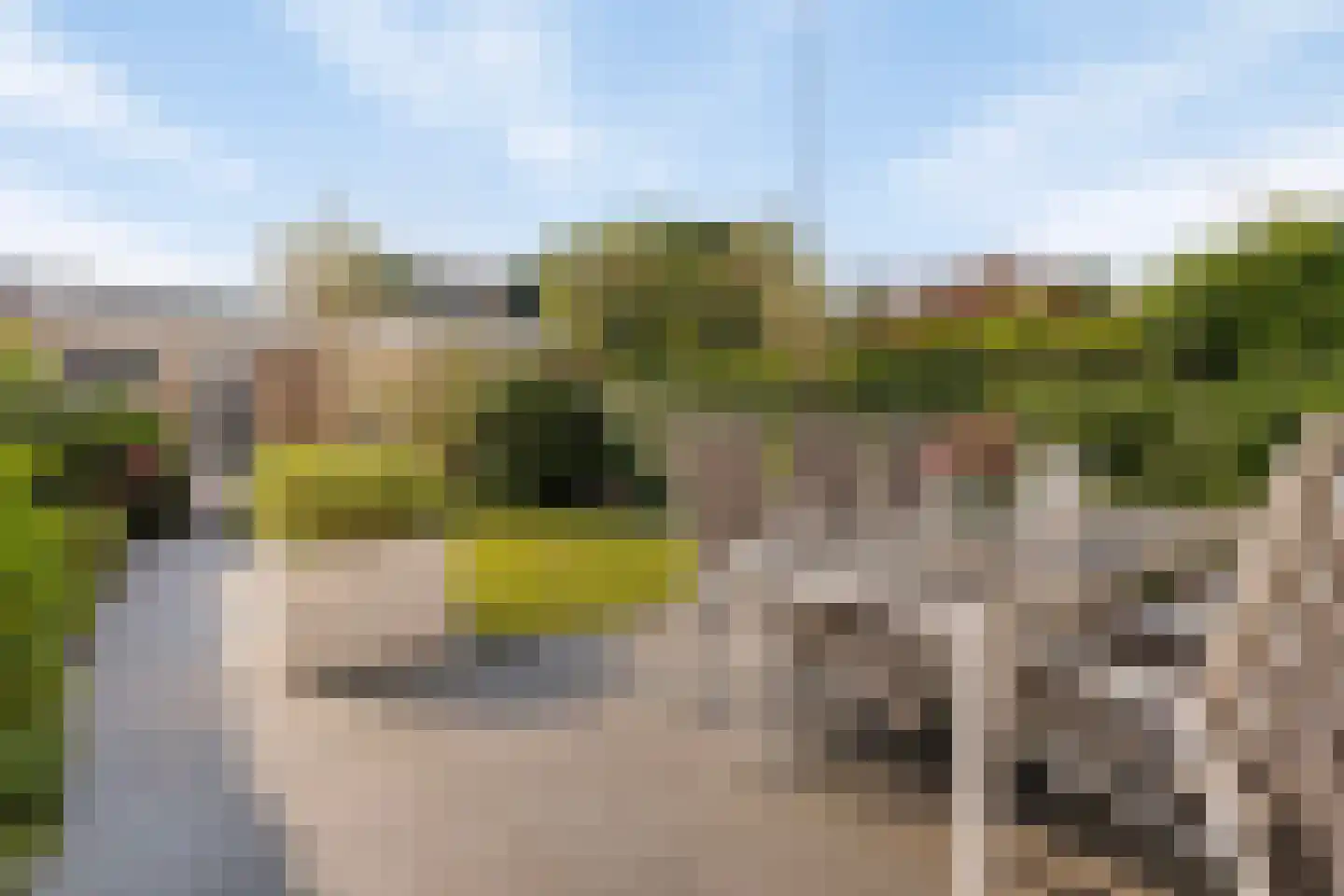 Drontermeerlaan 7 Leiden thumbnail 30