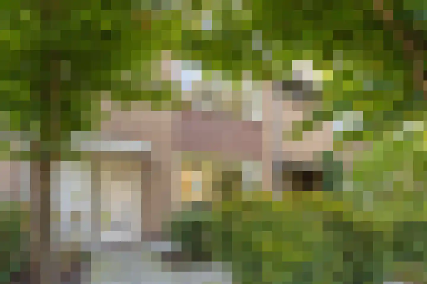 Drontermeerlaan 7 Leiden thumbnail 35