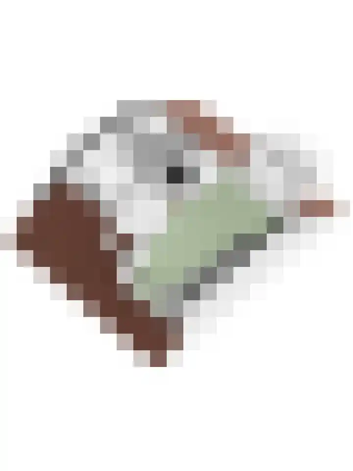 Drontermeerlaan 7 Leiden thumbnail 56