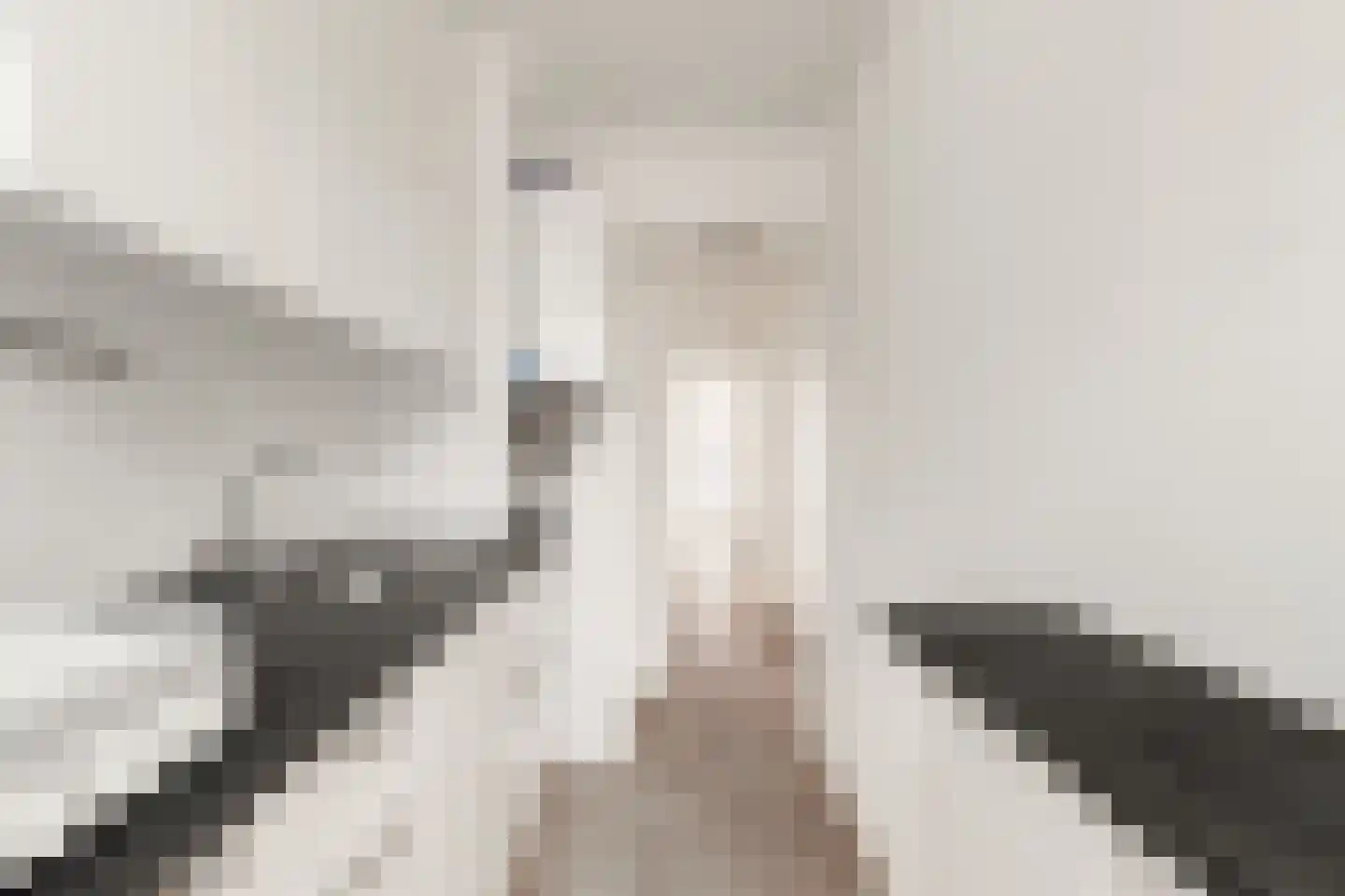 Droogbak 10 3 Amsterdam thumbnail 12