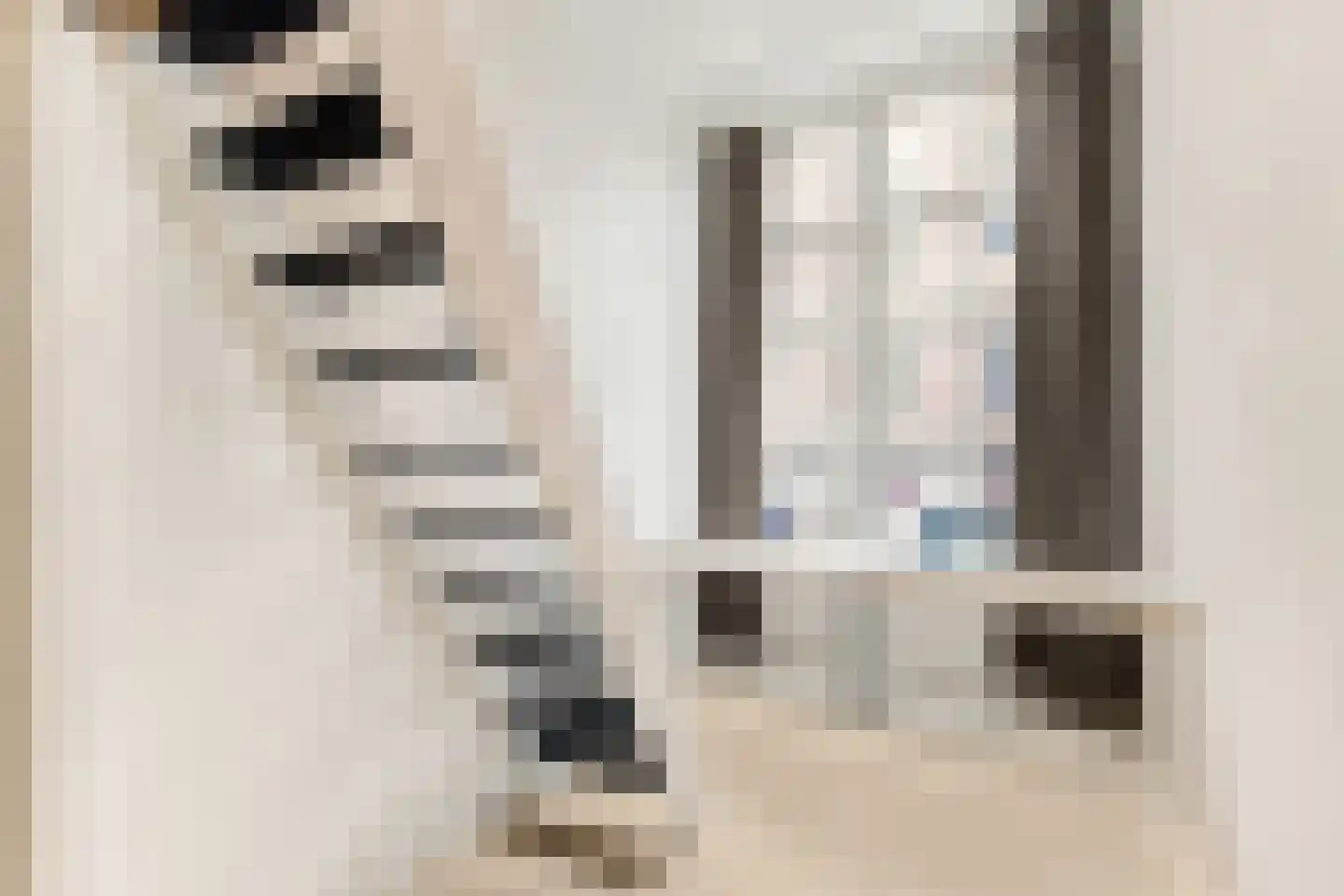 Droogbak 10 H Amsterdam thumbnail 10