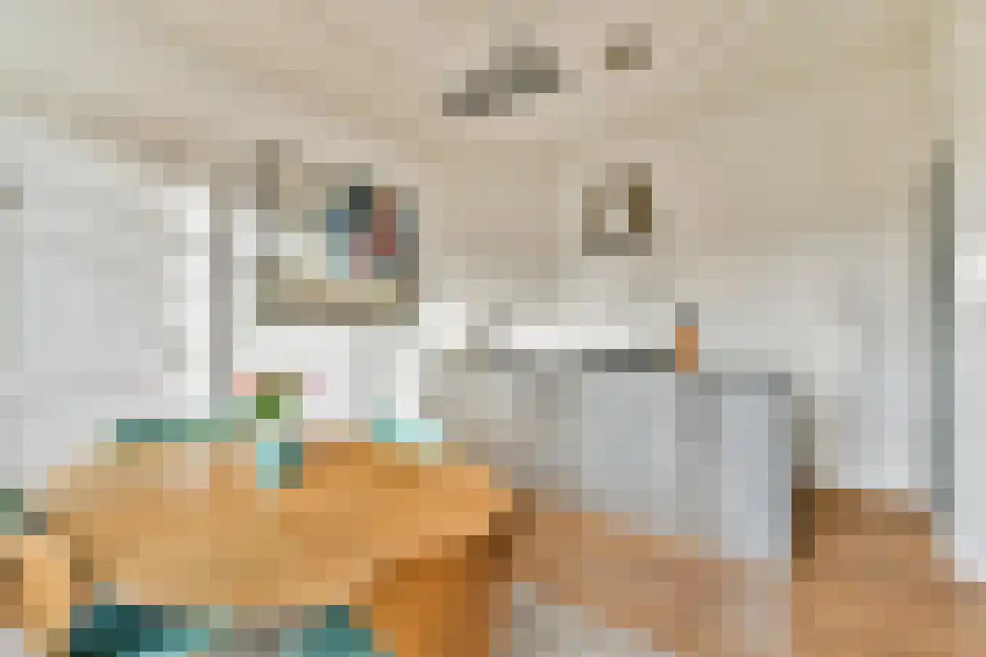 Droogbak 13 3 Amsterdam thumbnail 5