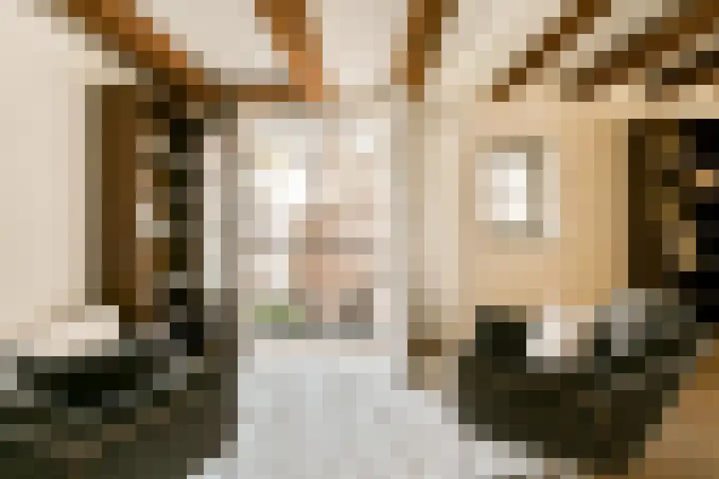 Droogbak 2 E Amsterdam thumbnail 10
