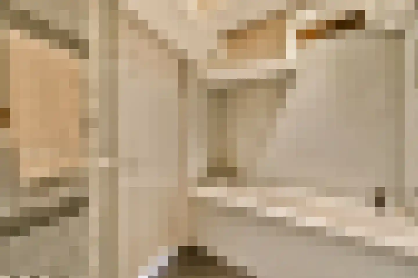 Droogbak 2 E Amsterdam thumbnail 14