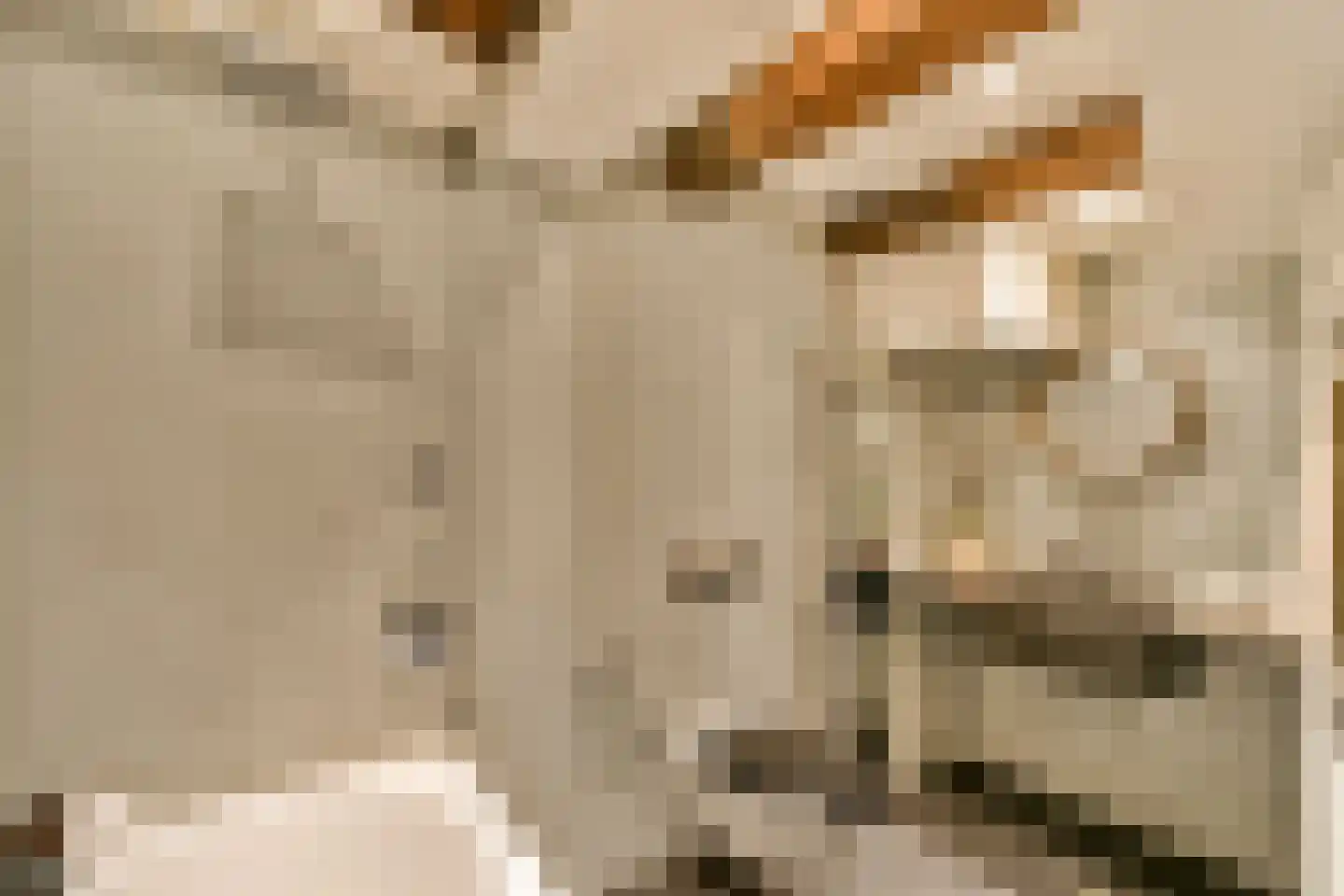 Droogbak 2 E Amsterdam thumbnail 15