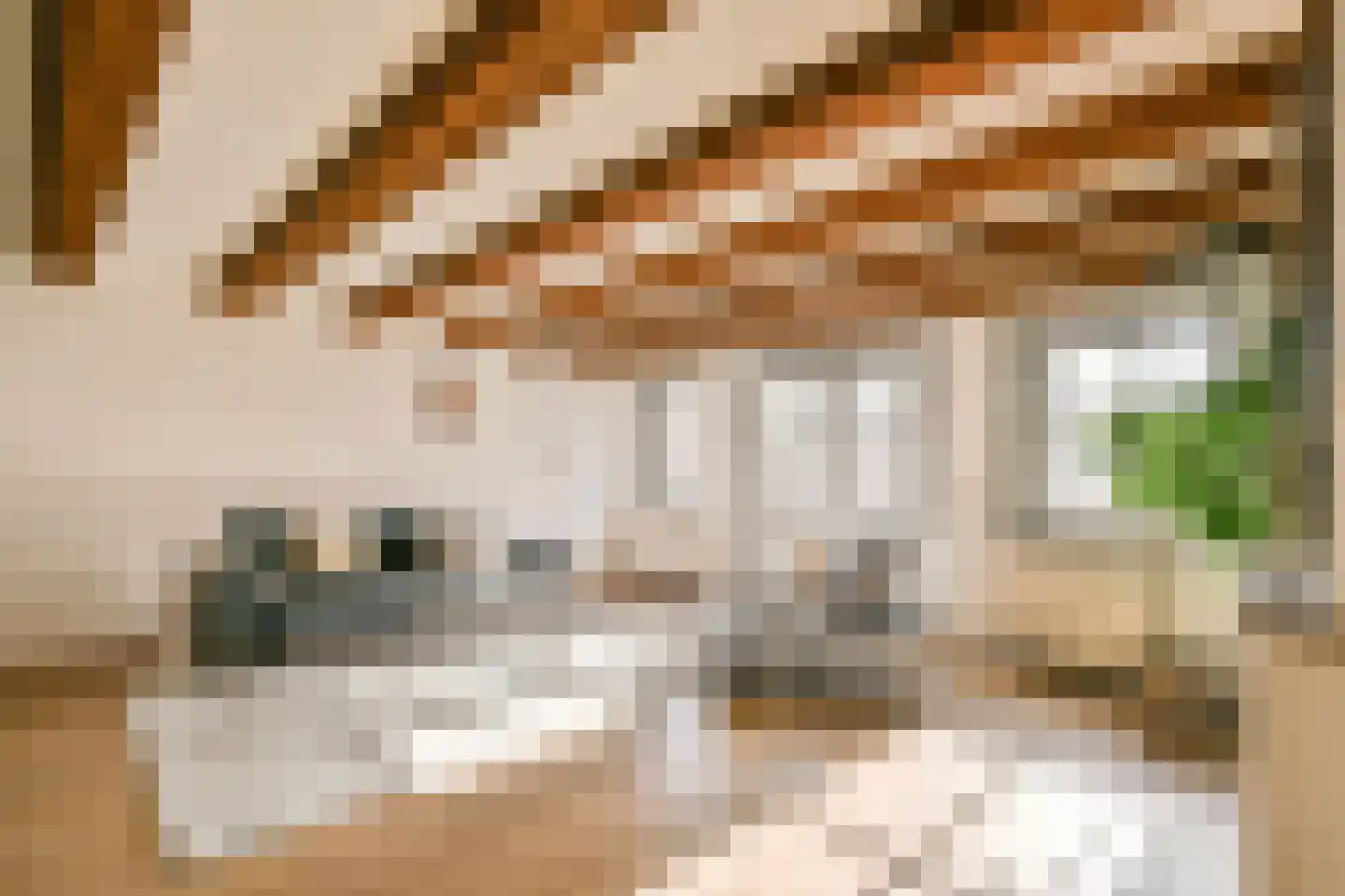 Droogbak 2 E Amsterdam thumbnail 5