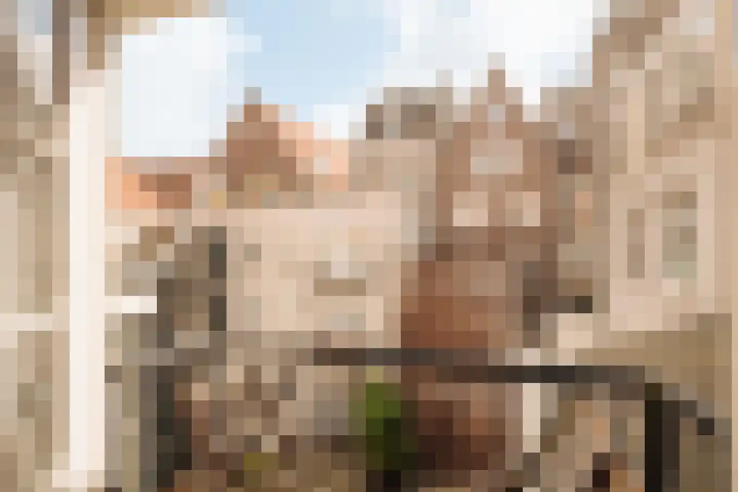 Droogbak 2 H Amsterdam thumbnail 10