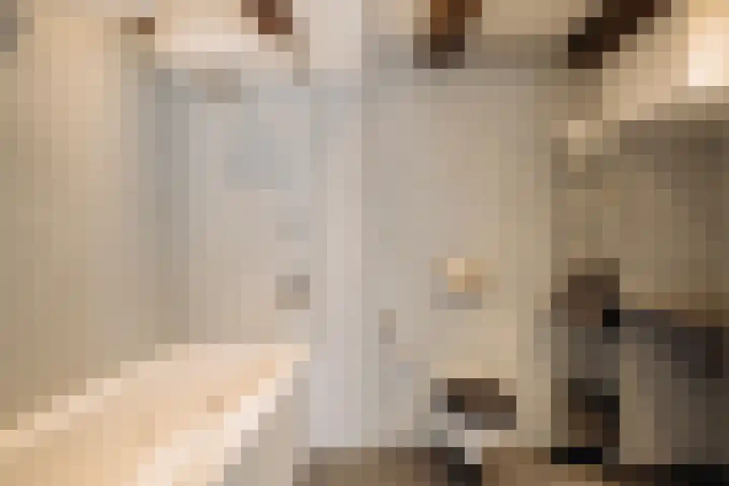 Droogbak 2 H Amsterdam thumbnail 12