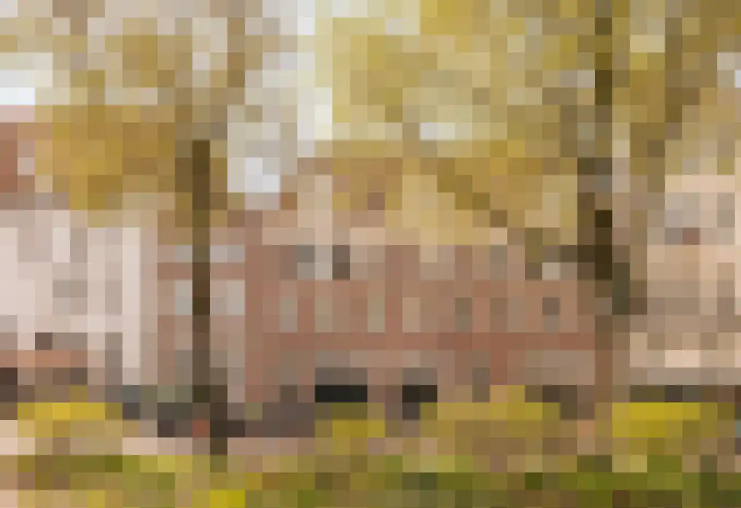 Droogbak 2 H Amsterdam thumbnail 14