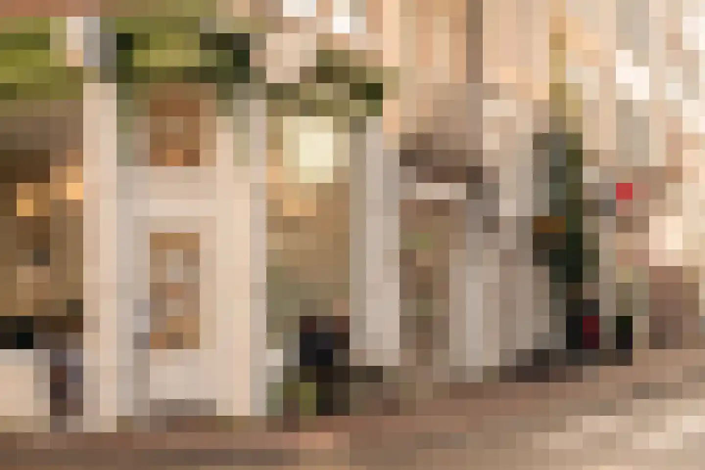 Droogbak 2 H Amsterdam thumbnail 19