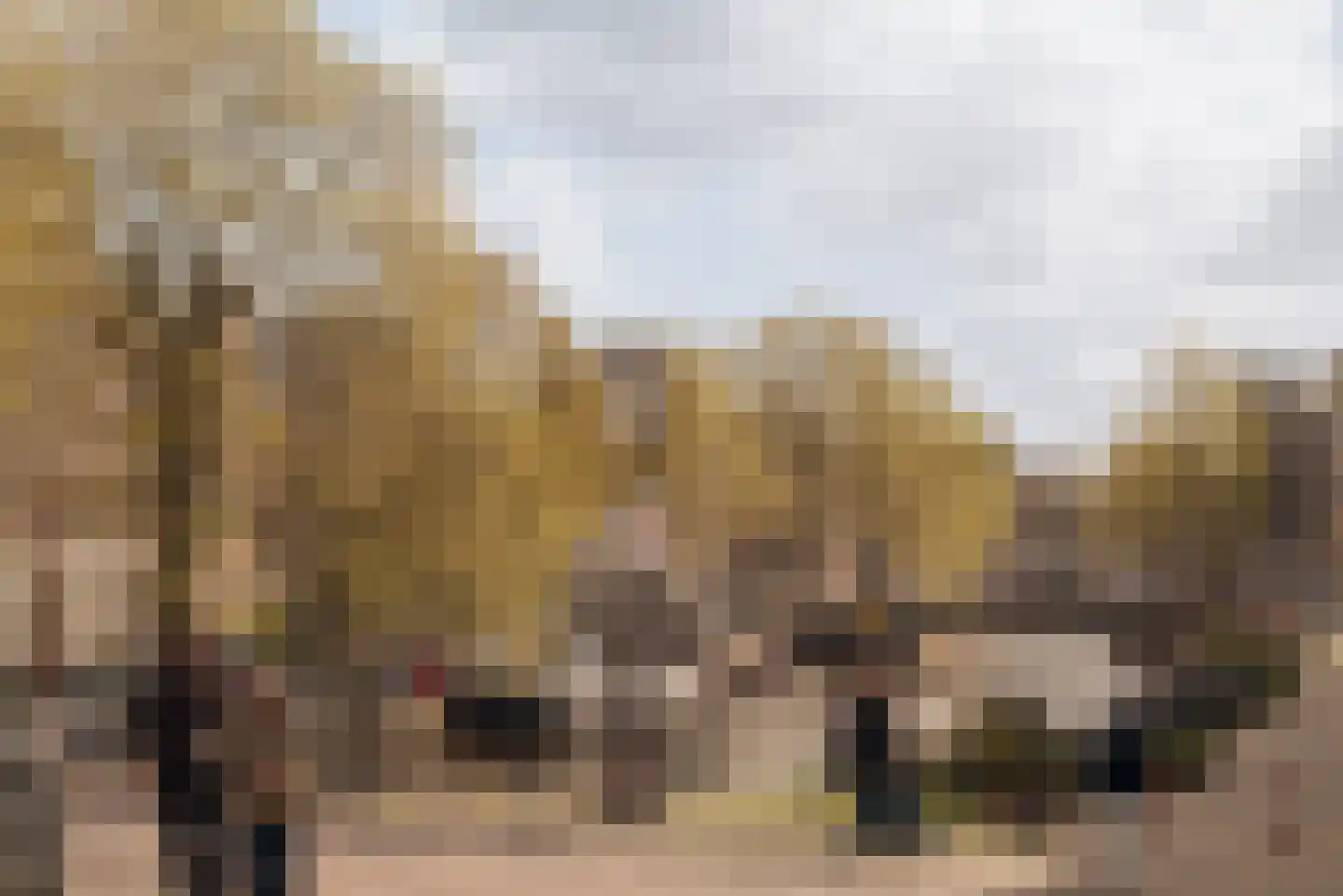 Droogbak 2 H Amsterdam thumbnail 22