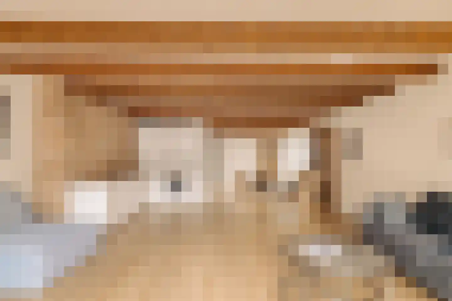Droogbak 2 H Amsterdam thumbnail 6