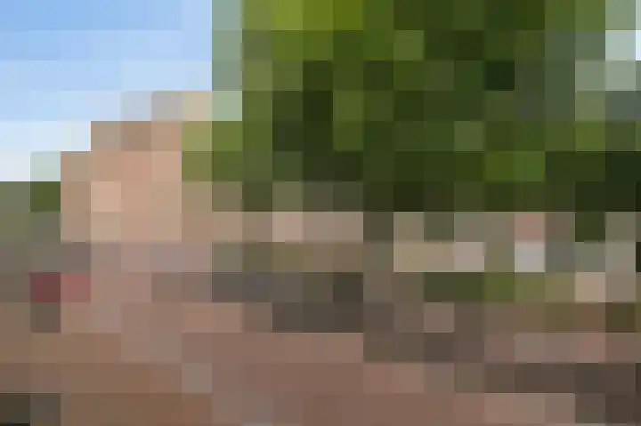 Droogbak 2 K Amsterdam thumbnail 12