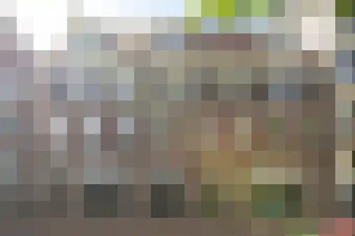Droogbak 2 K Amsterdam thumbnail 21
