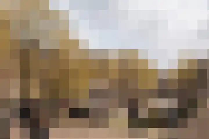 Droogbak 2 K Amsterdam thumbnail 22