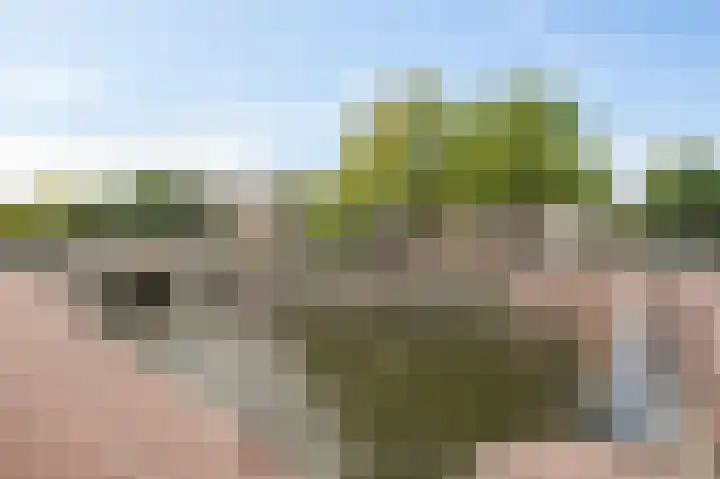 Droogbak 2 K Amsterdam thumbnail 28