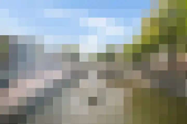 Droogbak 2 K Amsterdam thumbnail 29
