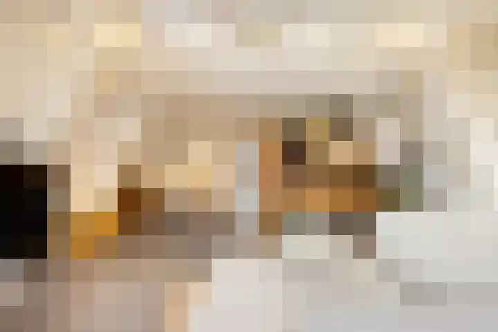 Droogbak 6 C Amsterdam thumbnail 13