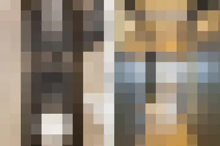Droogbak 6 C Amsterdam thumbnail 16