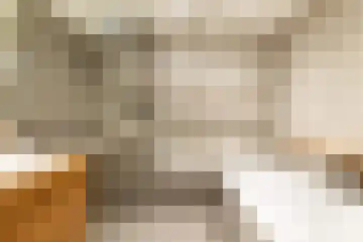 Droogbak 6 C Amsterdam thumbnail 17