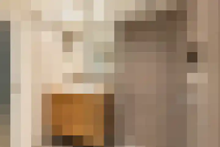 Droogbak 6 C Amsterdam thumbnail 19