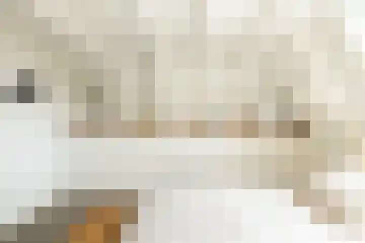 Droogbak 6 C Amsterdam thumbnail 21