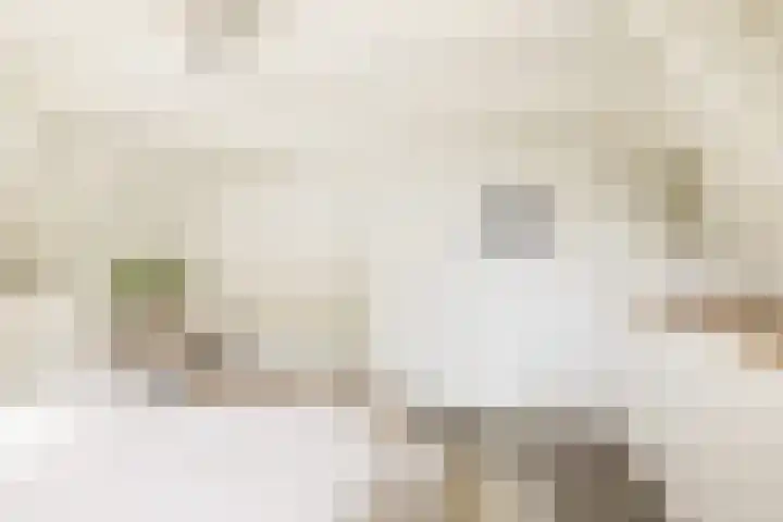 Droogbak 6 C Amsterdam thumbnail 24