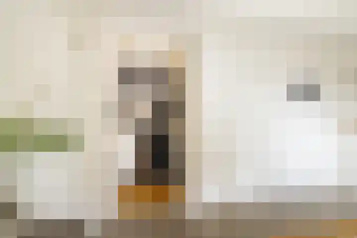 Droogbak 6 C Amsterdam thumbnail 25