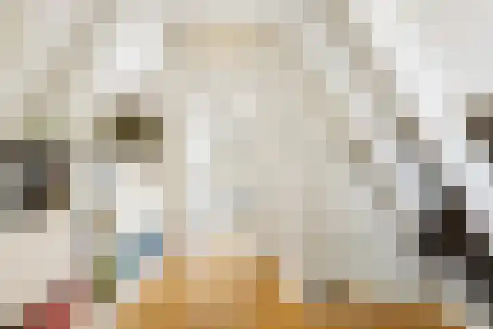Droogbak 6 C Amsterdam thumbnail 29