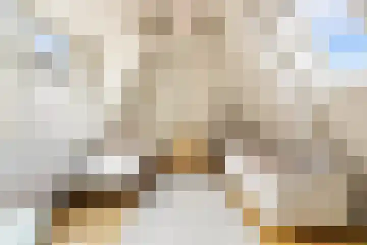 Droogbak 6 C Amsterdam thumbnail 33