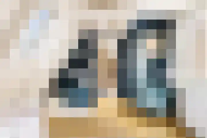 Droogbak 6 C Amsterdam thumbnail 35