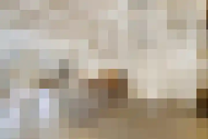Droogbak 6 C Amsterdam thumbnail 4
