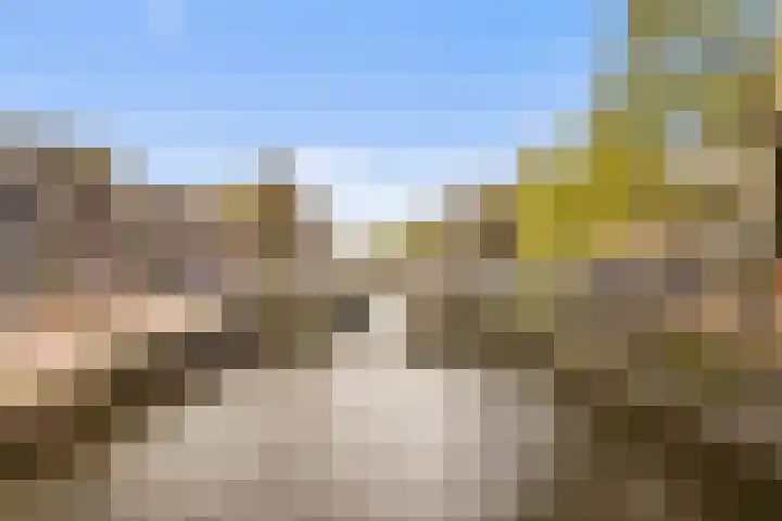 Droogbak 6 C Amsterdam thumbnail 47