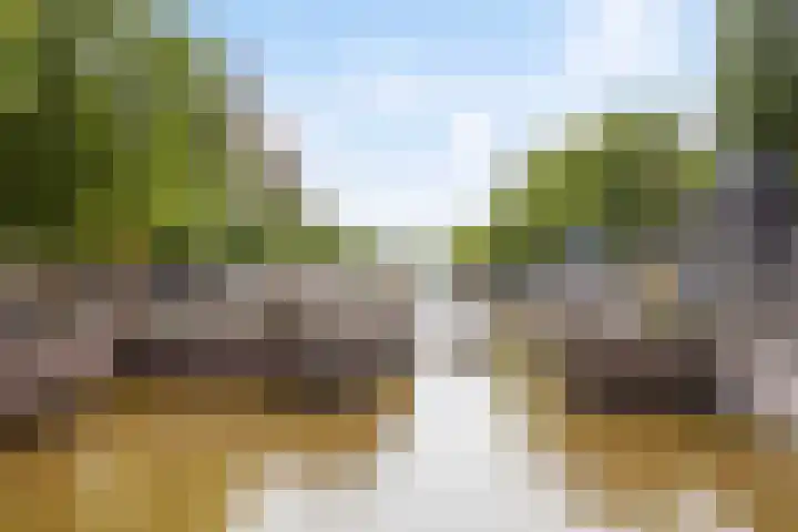 Droogbak 6 C Amsterdam thumbnail 52