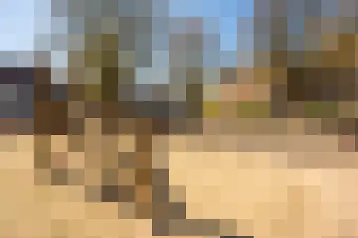 Droogbak 6 C Amsterdam thumbnail 54