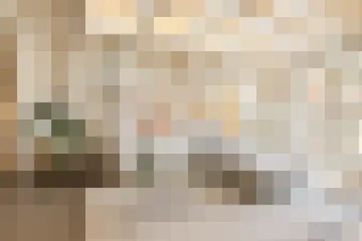 Droogbak 6 C Amsterdam thumbnail 7