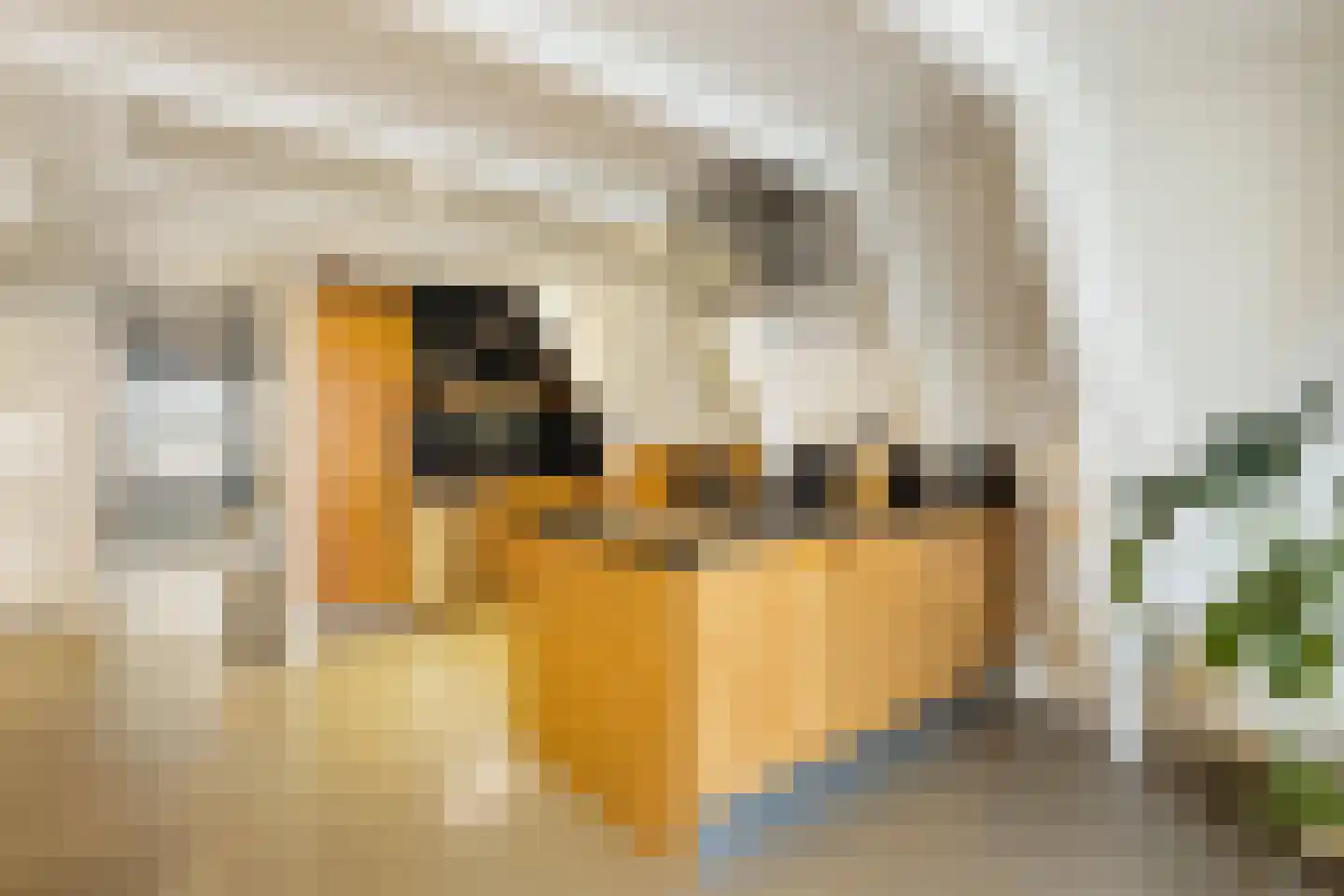 Droogbak 6 D Amsterdam thumbnail 14