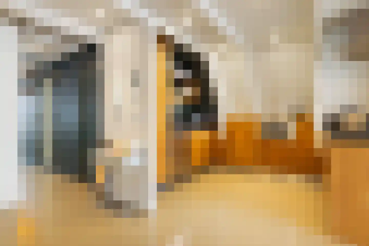 Droogbak 6 D Amsterdam thumbnail 15