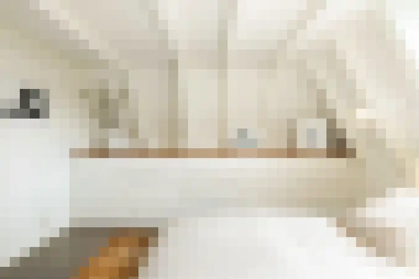 Droogbak 6 D Amsterdam thumbnail 21
